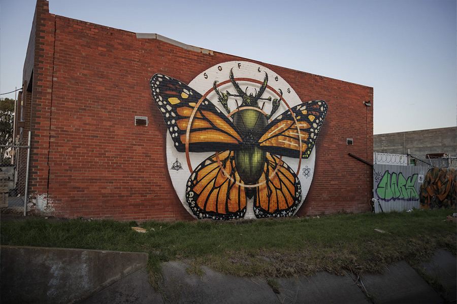 Wall to Wall Festival 2025