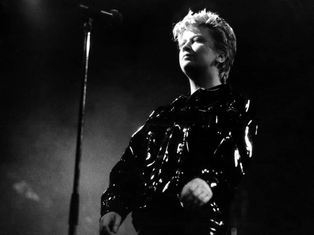 Anne Clark Death Disco