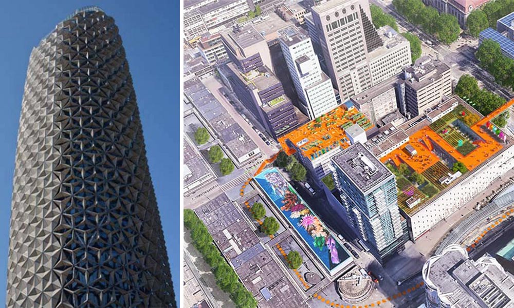 Antimetopisi kausona