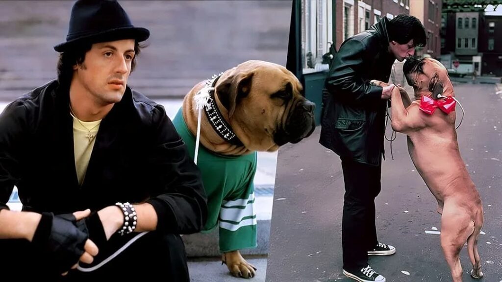 Ο σκύλος του Rocky στην ταινία,