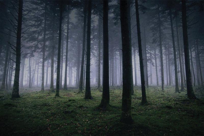 Τρομακτικοί αστικοί μύθοι από όλο τον κόσμο, εσύ τους ήξερες;