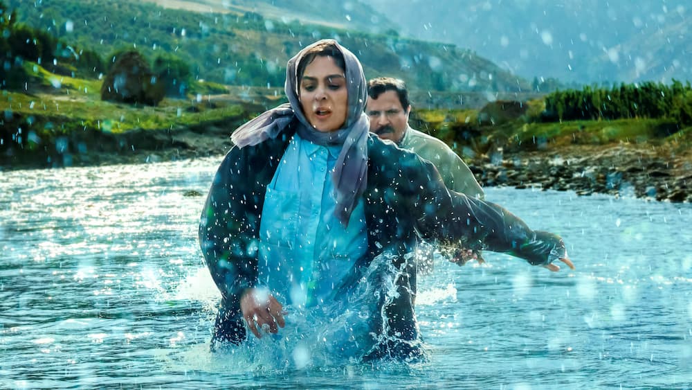 Στην Αγκαλιά του Δέντρου: Το Τίμημα της Σιωπής μέσα από τα Μάτια των Παιδιών