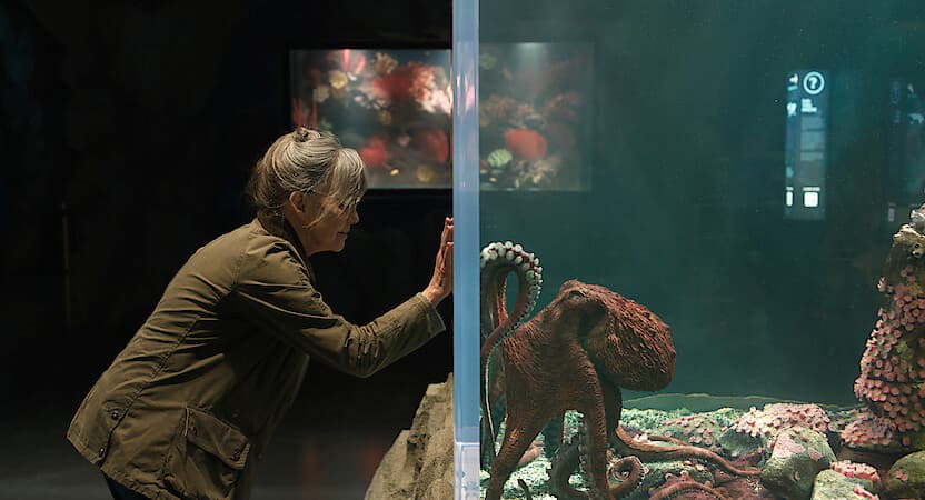 Ταινίες που έρχονται στο Netflix τον Μάιο και θα μονοπωλήσουν το ενδιαφέρον του κοινού